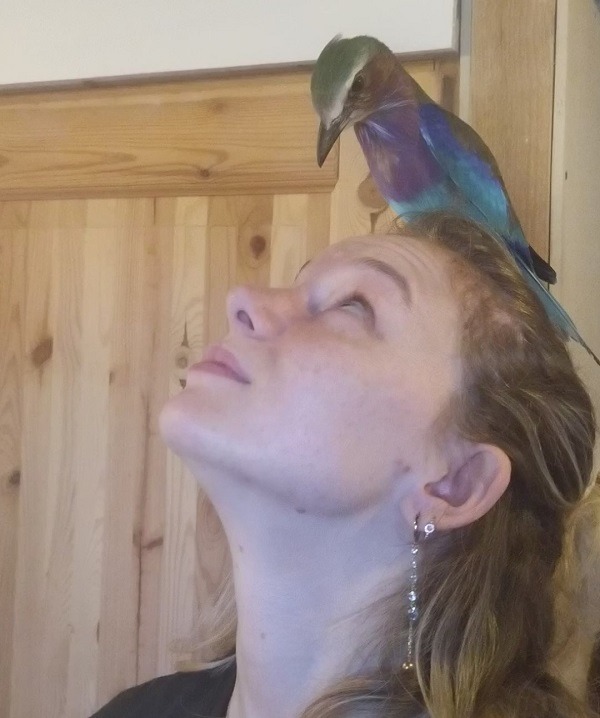 Problemi comportamentali