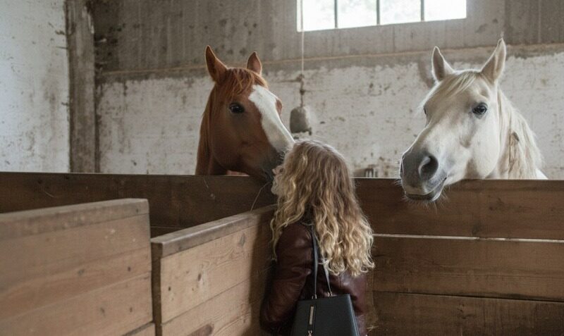 Problemi di salute o emotivi