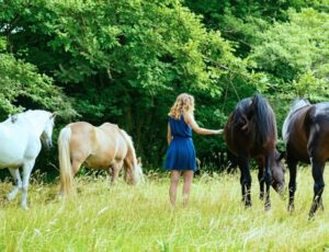 Animal Communication problemi comportamentali